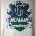 Guadalajara live